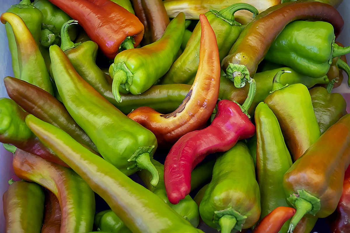 Peppers by Sol Blechman