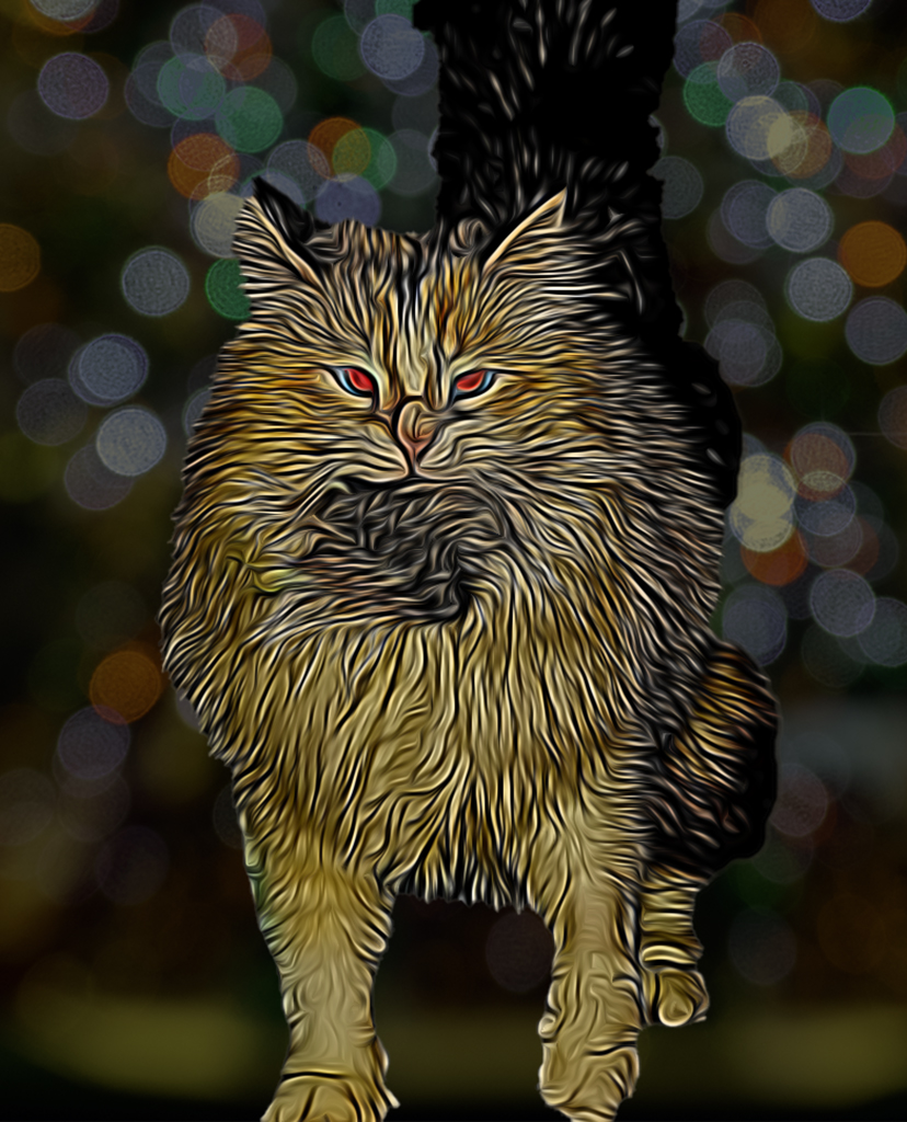 Devil Cat by Richard Siersma