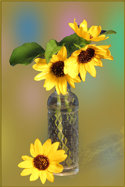 Four yellow  flowers by Barbara E Miller, HonPSA, MPSA, EFIAP