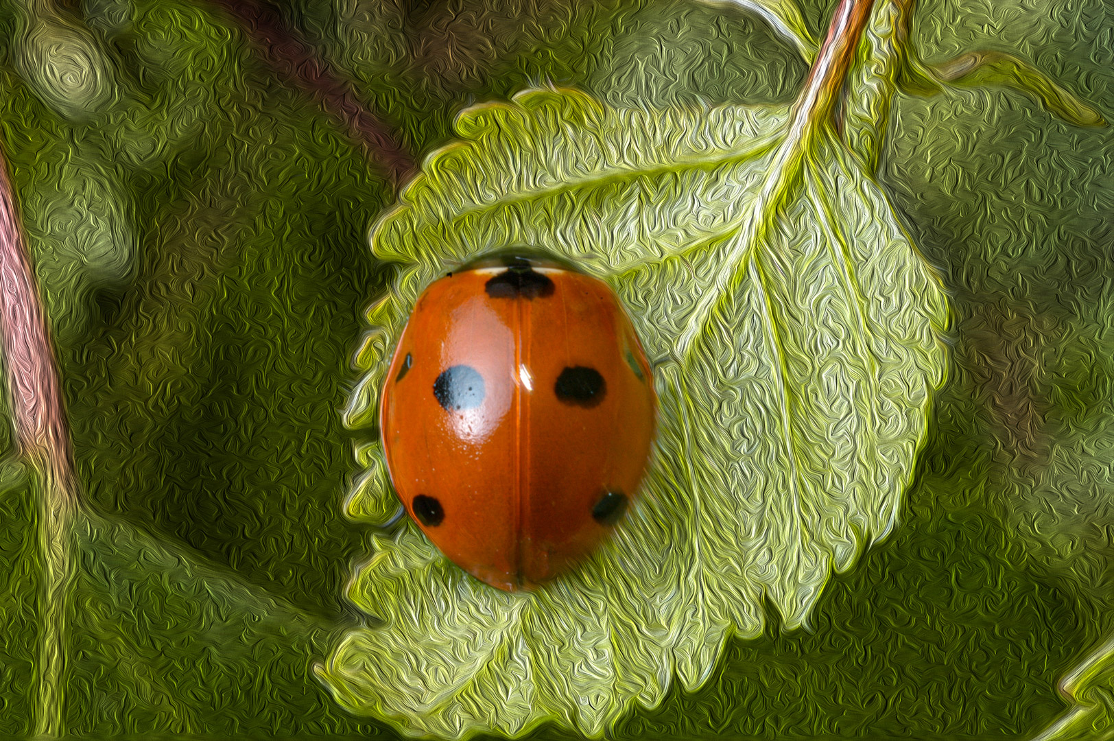 Ladybug Dream by Georges Dormoy