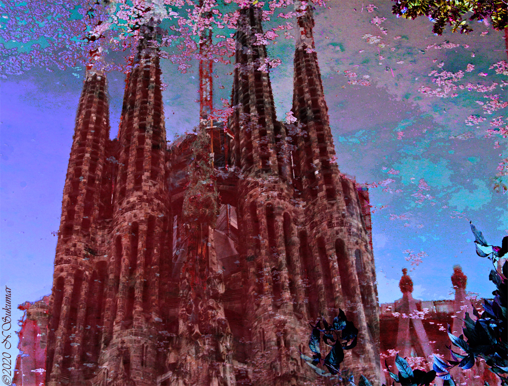La Sagrada Familia reflection by N. Sukumar, APSA
