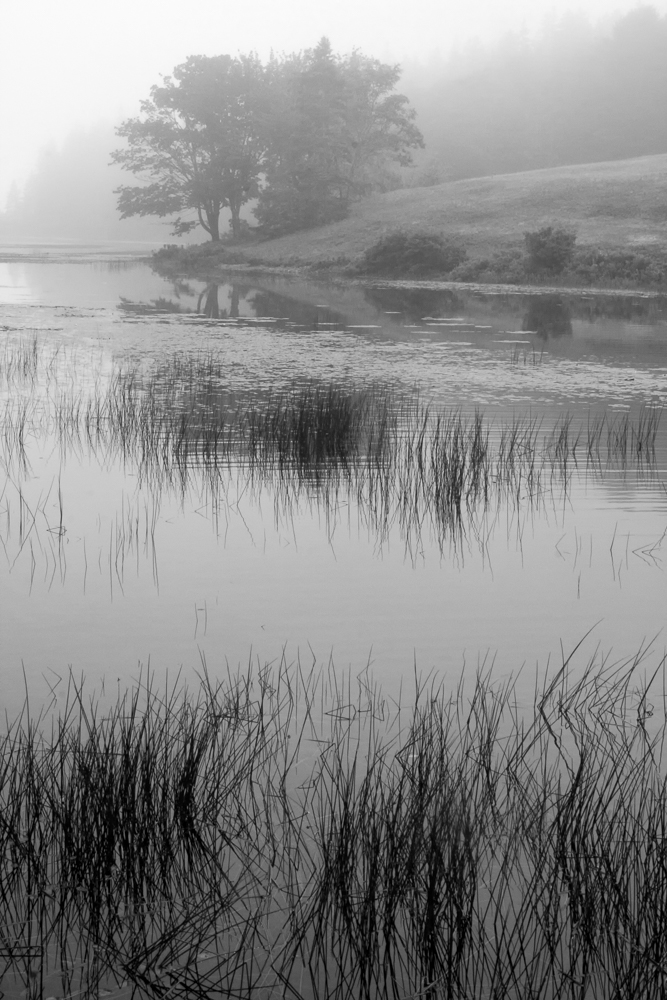 Foggy Morning at Bar Harbor Pond by Jim Bodkin, APSA, PPSA
