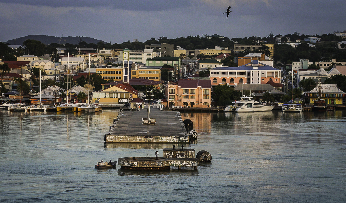 St. Lucia Port by Darcy Johnson