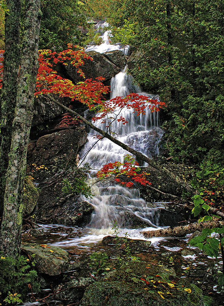Acadia Roadside Falls by Dick Perkins