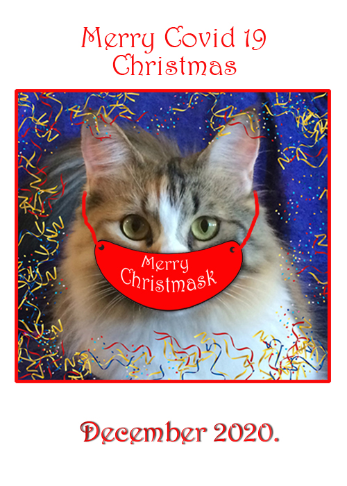Merry Covid19 Chistmask by Nellie Bretherick