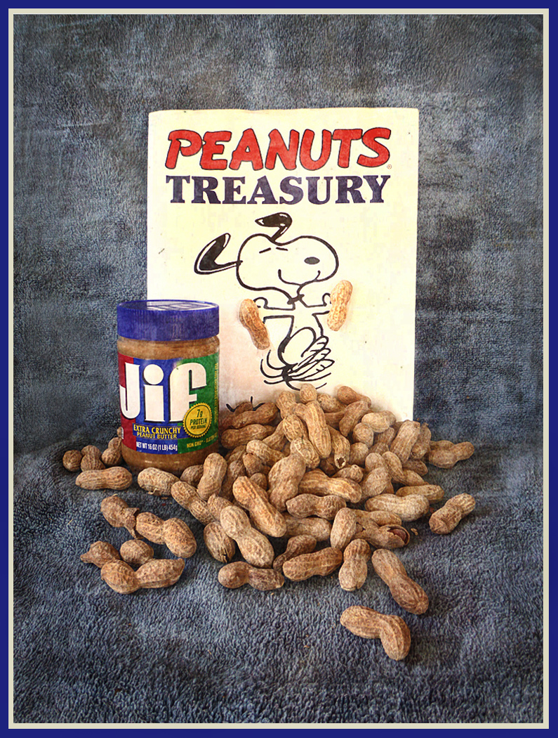 Peanuts by Shirley Ward, FPSA, EPSA