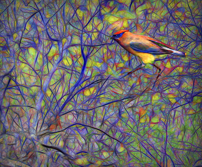 Bird in Tree by Joan Field, FPSA