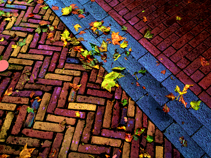 Falling Leaves in Amsterdam by Steve Wessing
