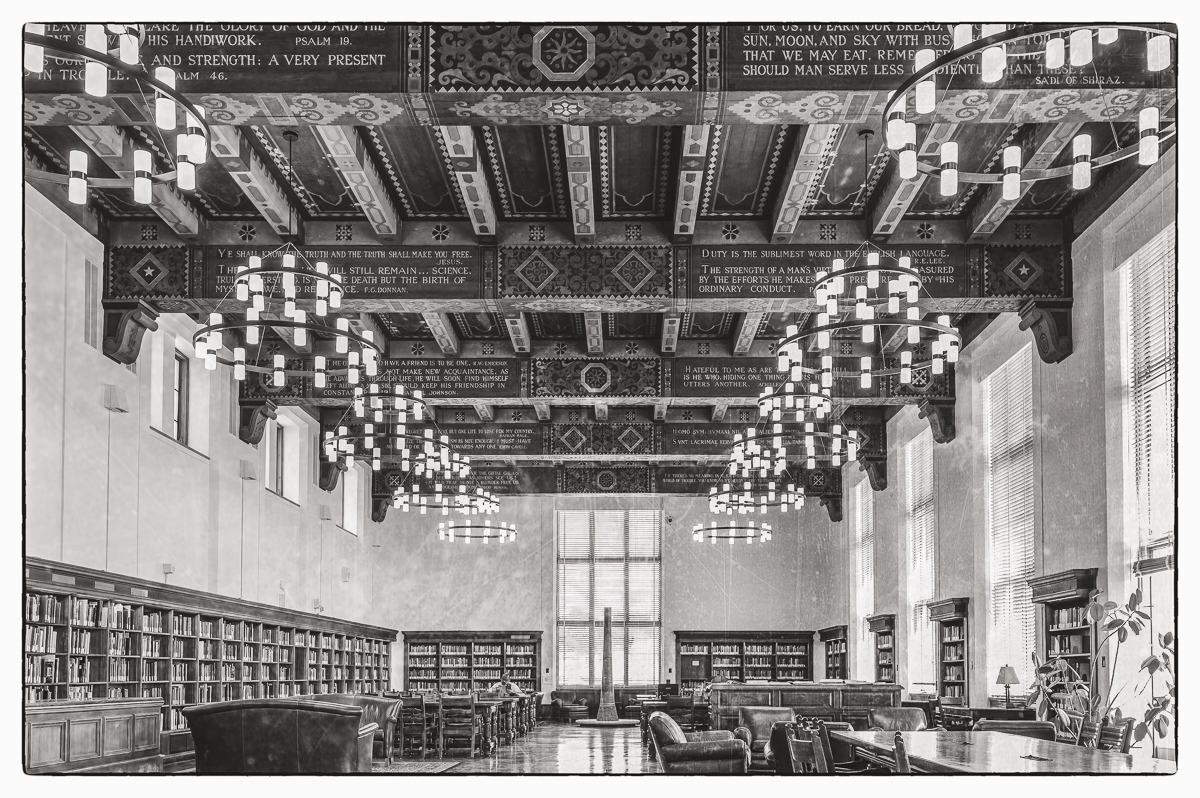 The Library by Peggy Reeder