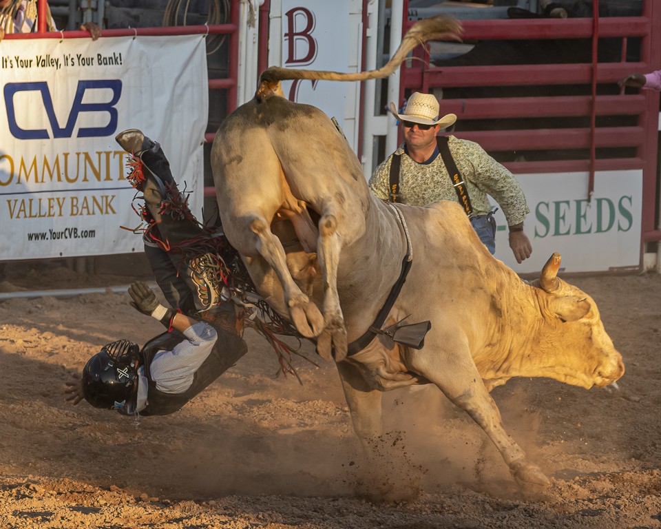 Bull Rider In Flight by James Ricketts