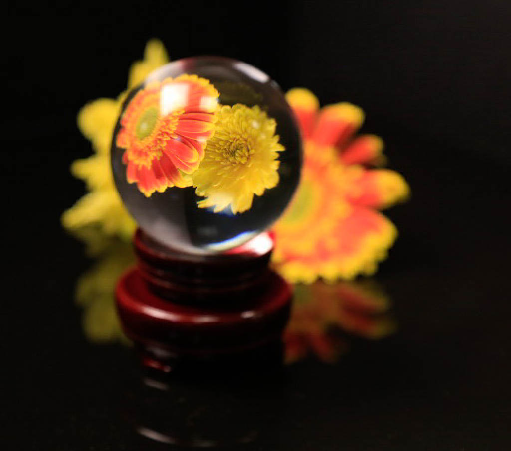 Glass Ball and Flowers by Donna Paul