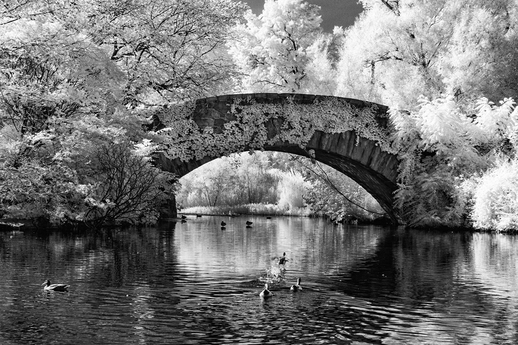 Bridge in Central Park by Mervyn Hurwitz