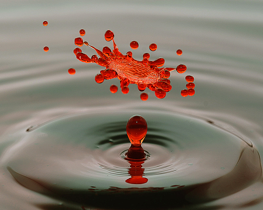 Big Red Splash by Karen Harris