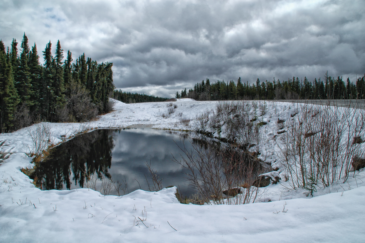 Snowy Pond by Judy Burr, APSA, MPSA