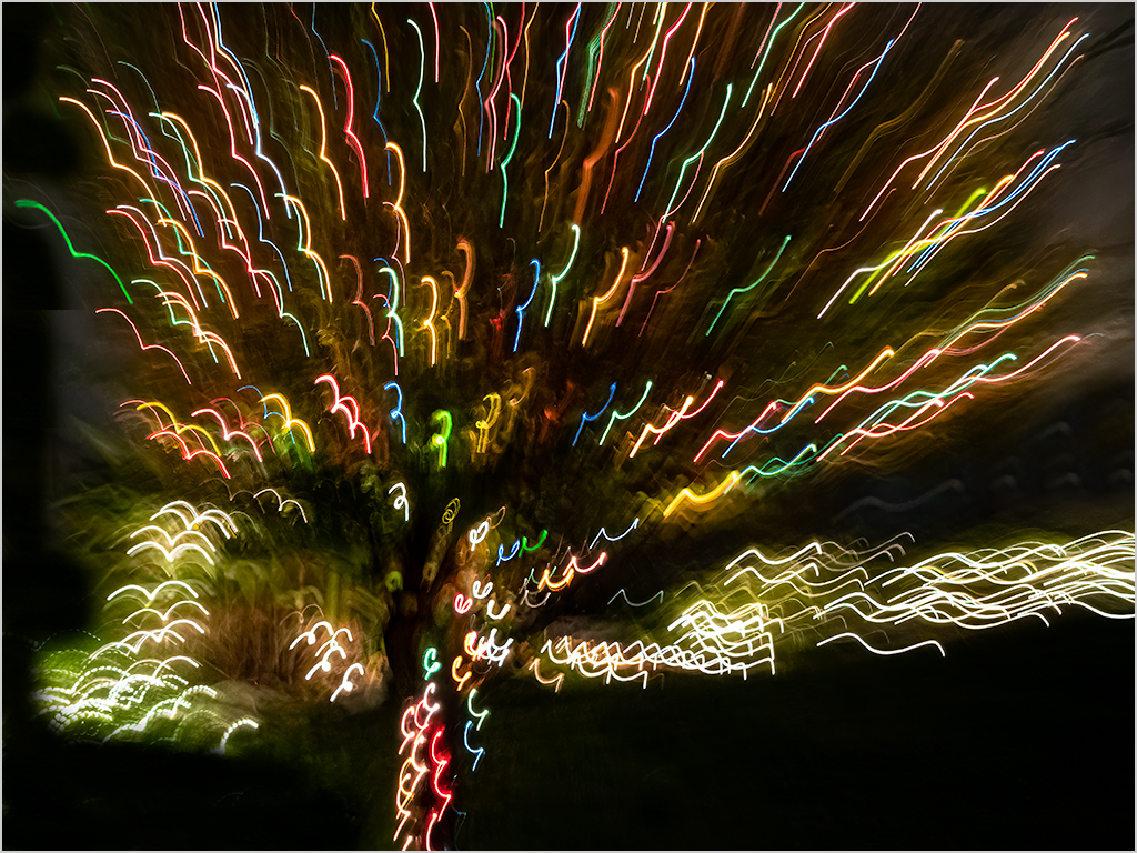 Xmas Lights on Tree by Judy Merson