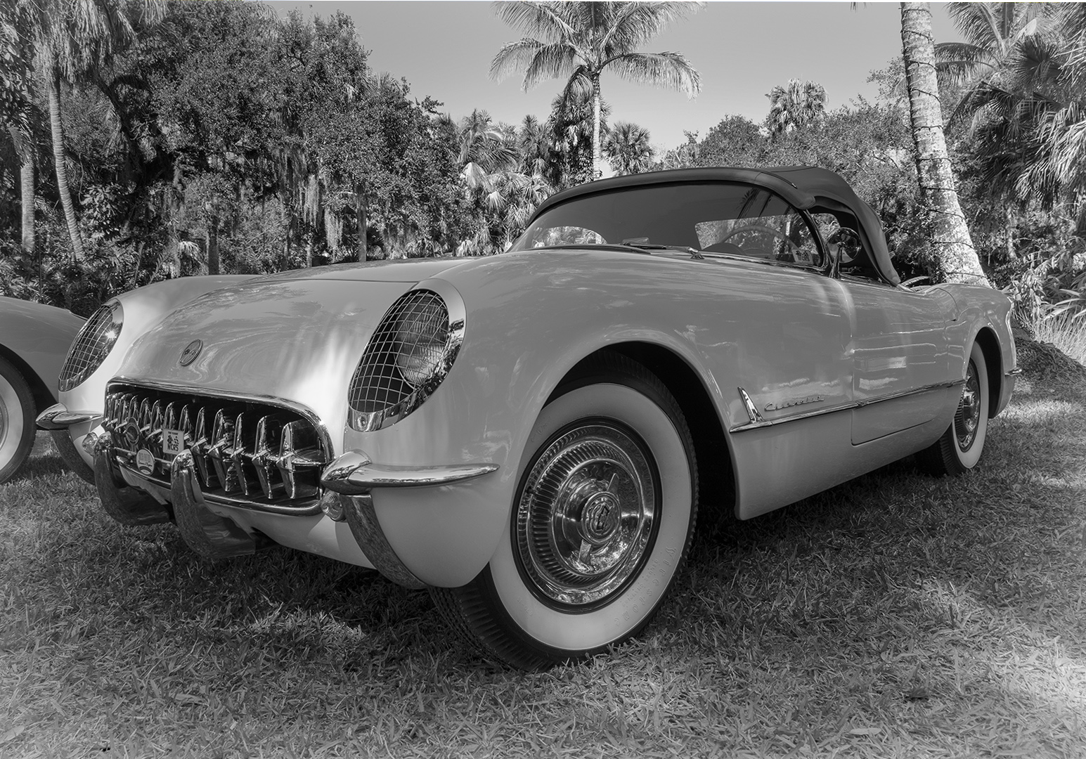 1954 Corvette by Lynne Hollingsworth