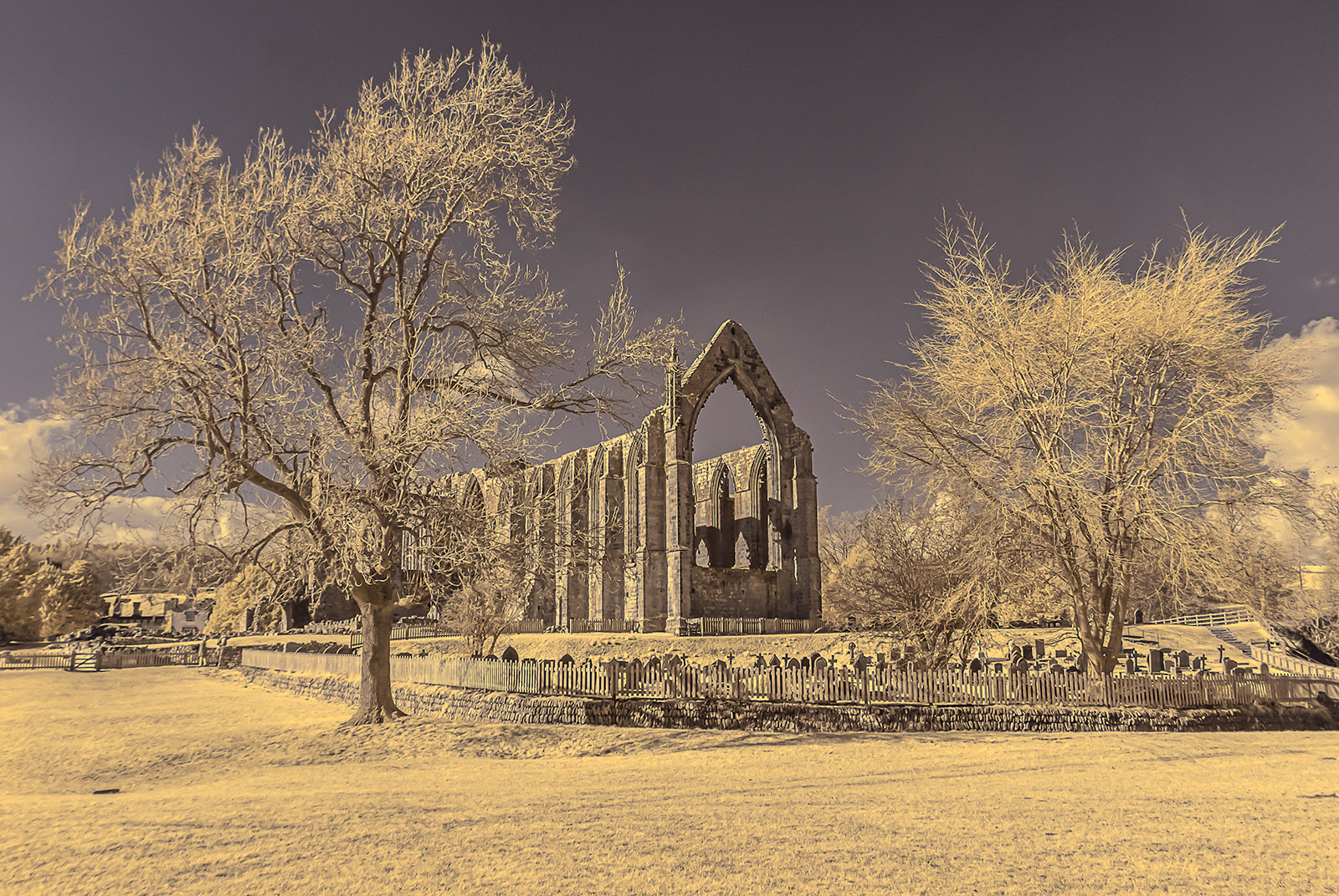 Bolton Abbey by Julie Walker, EPSA