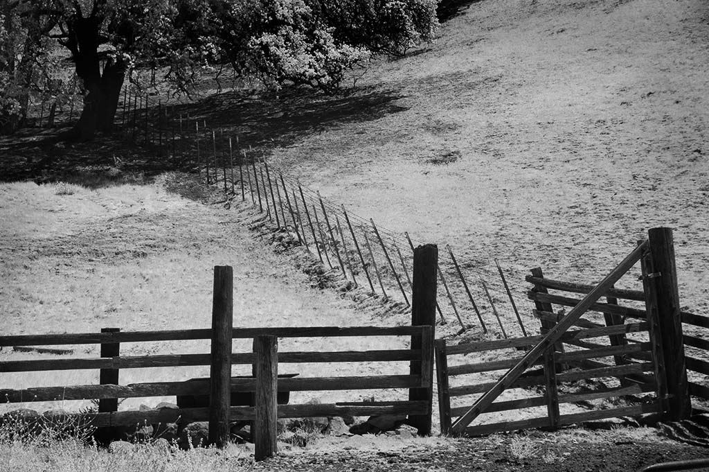 East Bay Two Fences by Stuart Bacon, QPSA