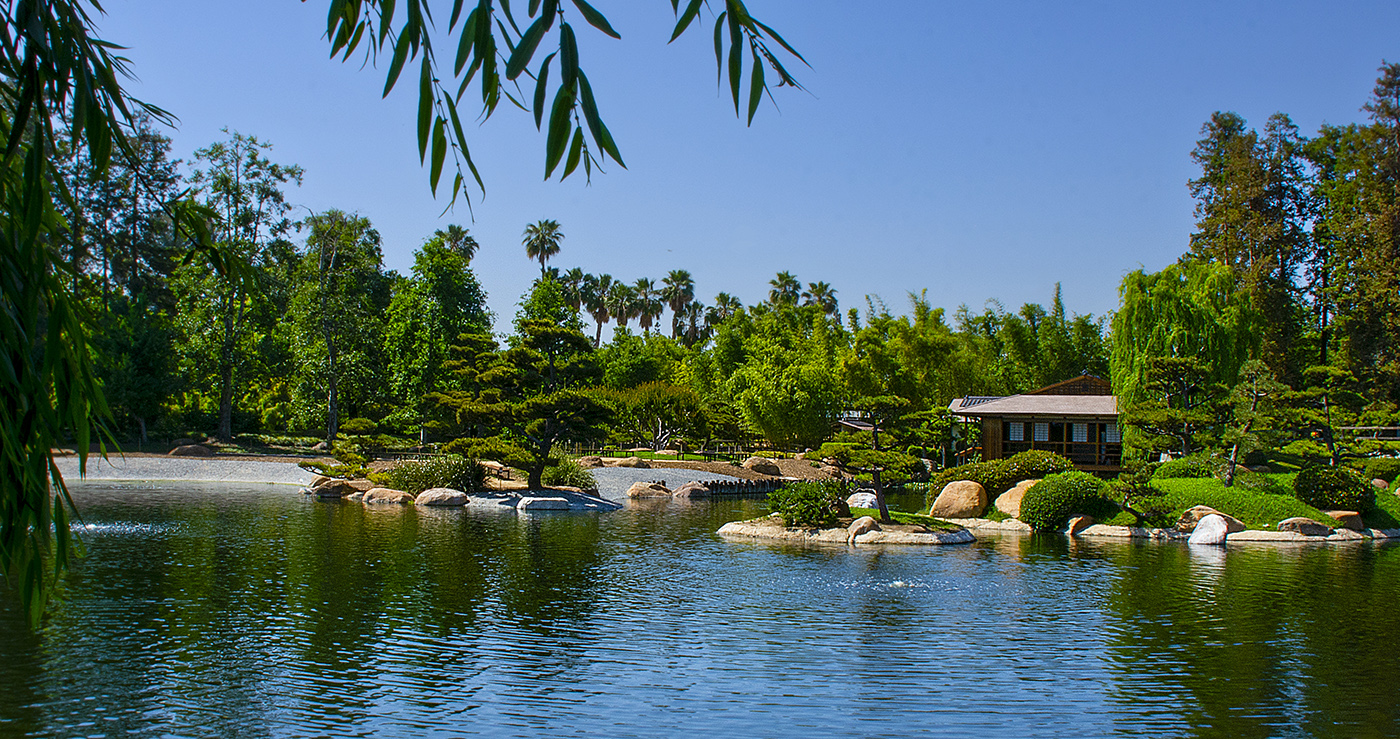 Japanese Garden by Bill Peake