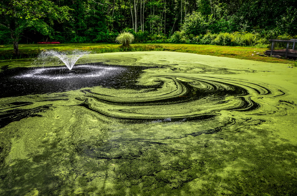 Swirly Pond by Le Tho Giao