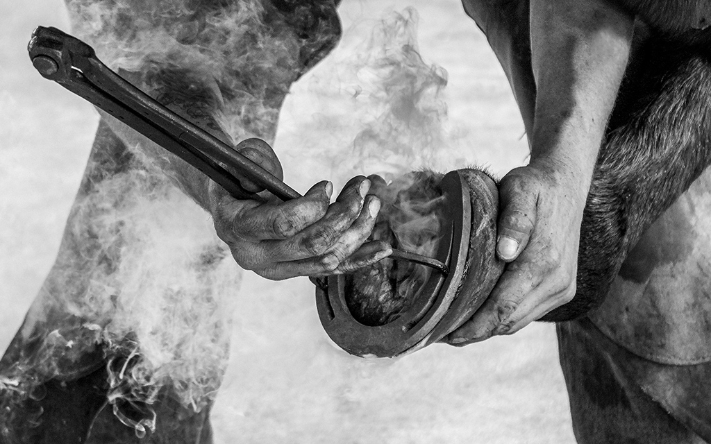 Blacksmithing by Grace Bryant, QPSA