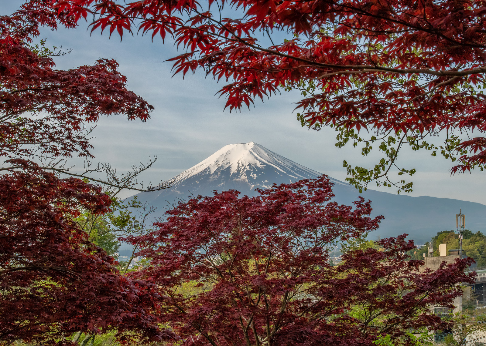 Mt. Fuji by Peter Cheung