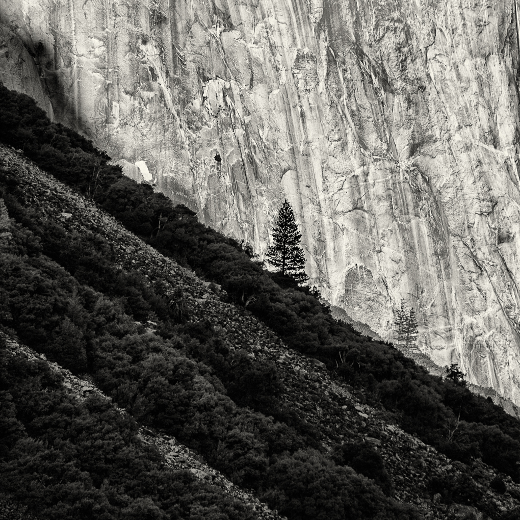 Lone Climber by Steve Knight
