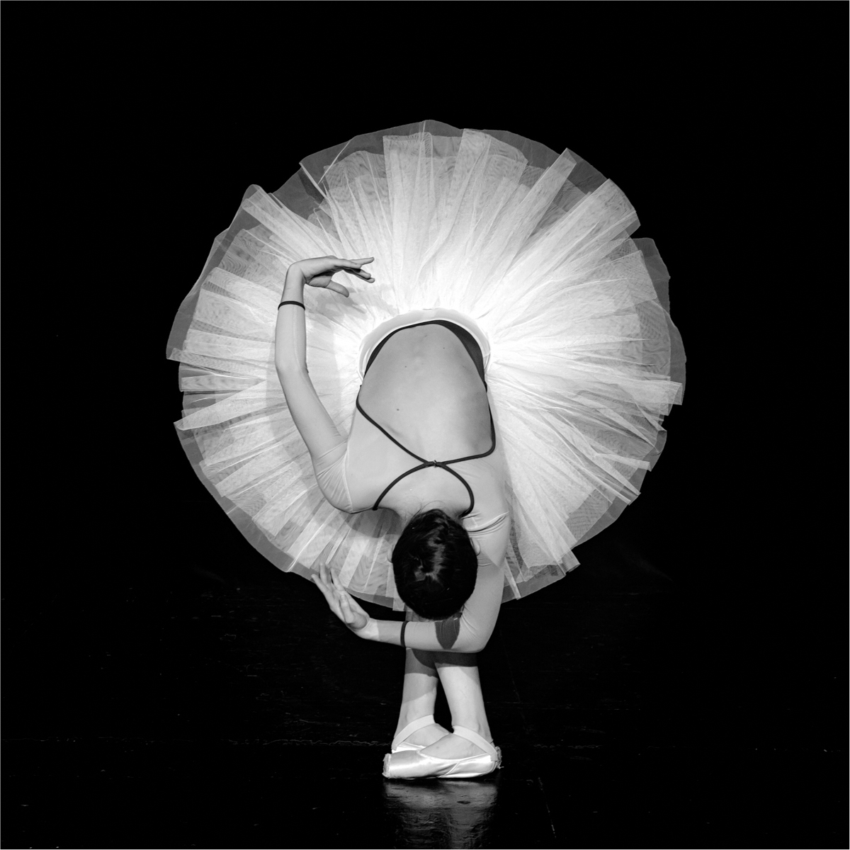 Swan salute by Vincent Cochain, EPSA