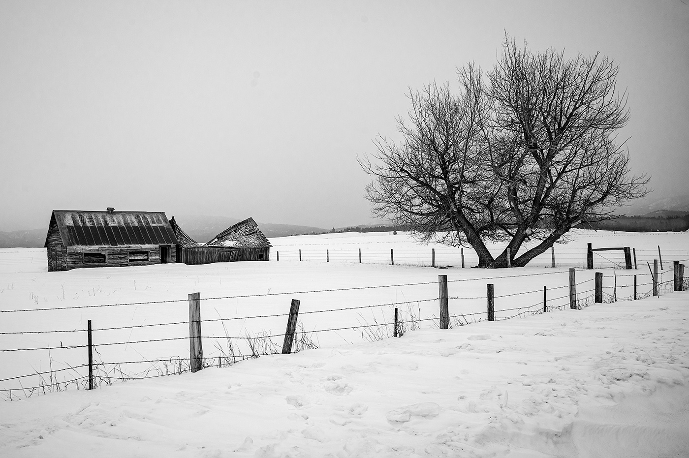 Cabarton Winter Scene by Ken Wilkes
