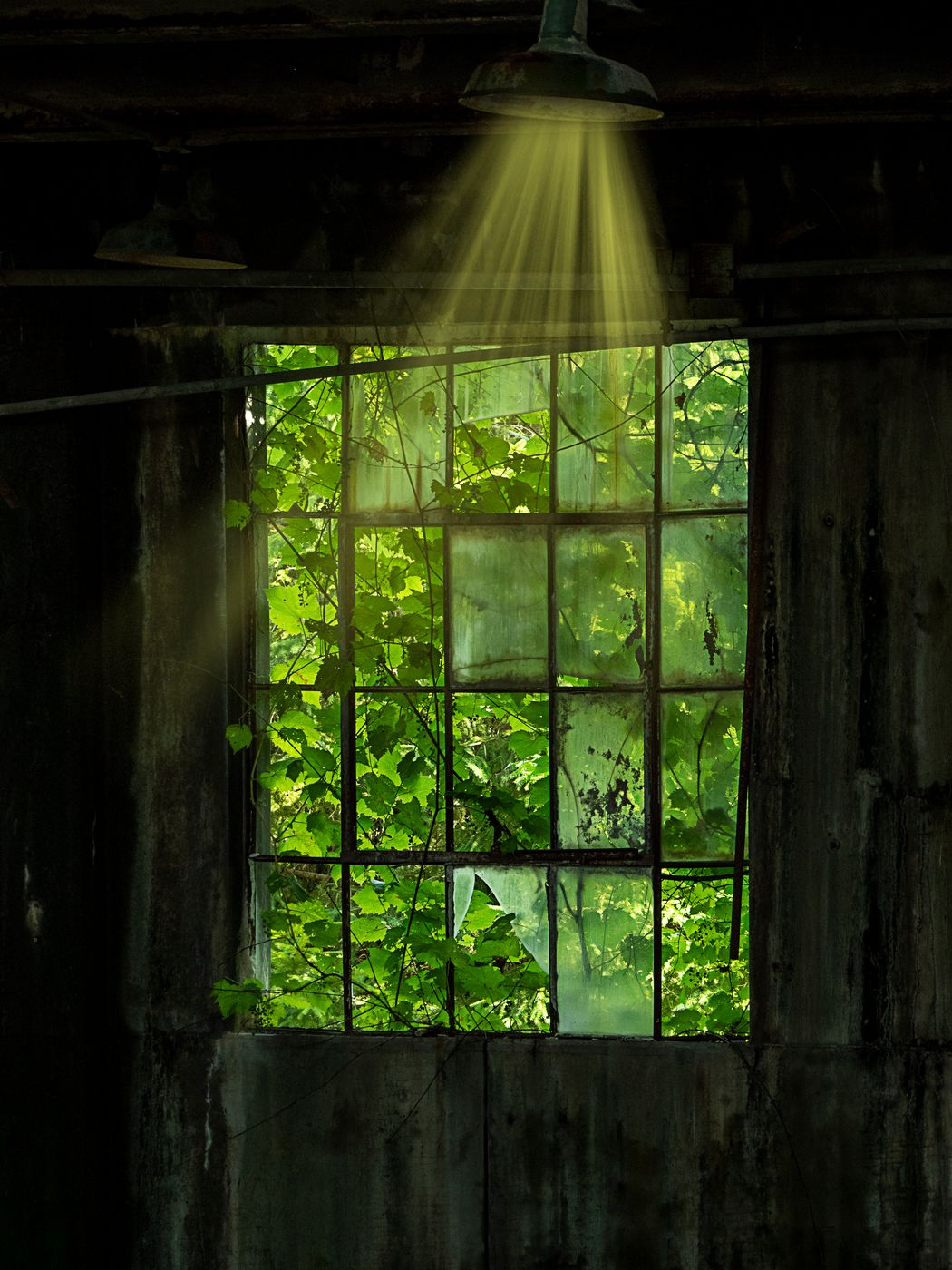 A "Green" Factory by Lisa Cuchara