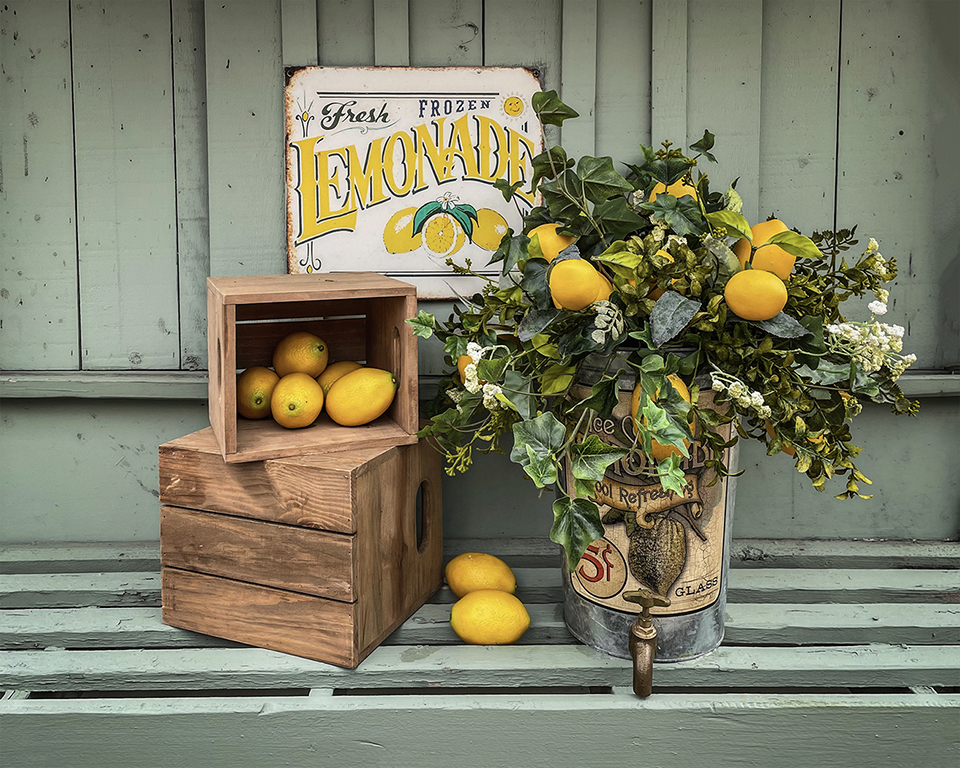 Lemonade Stand by Cindy Lynch