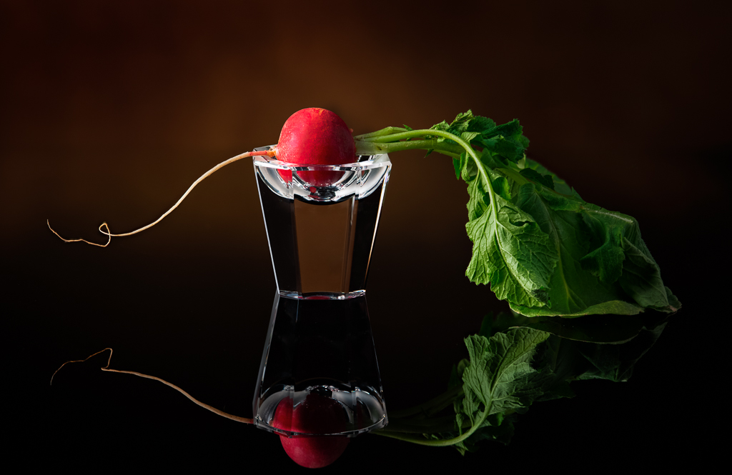 Radish in Cup by David Terao