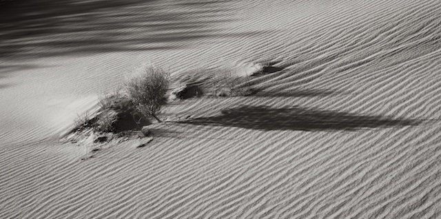 Shadowy Sands by Jack Florence Jr