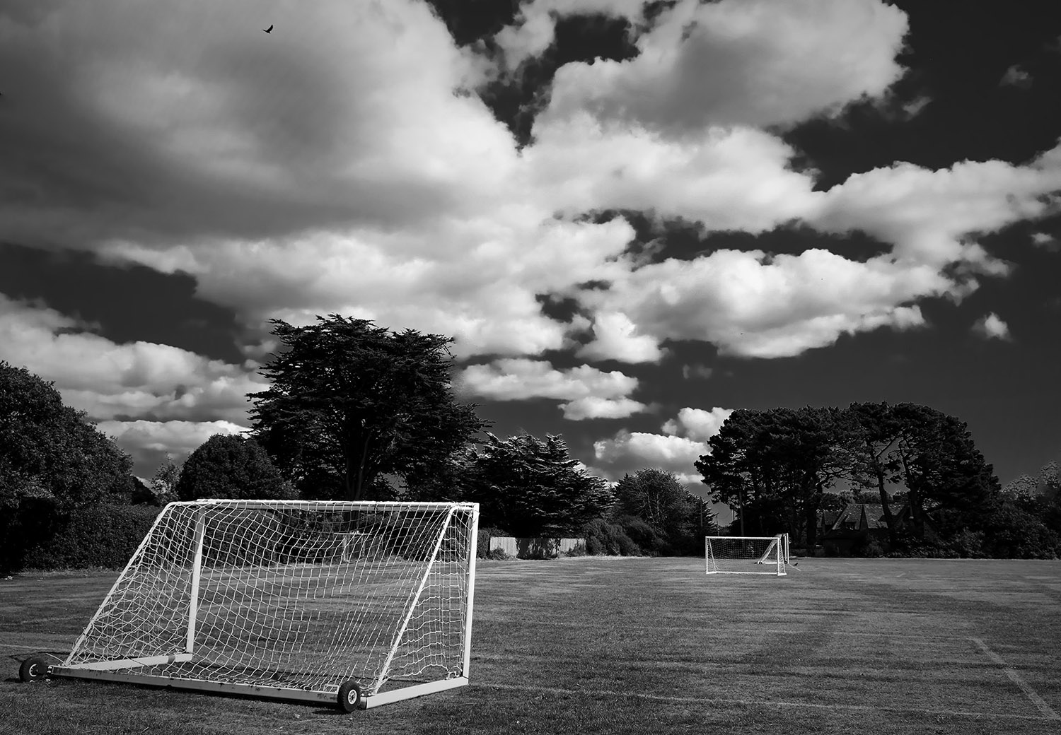 English Sports Field by Jen Carrick