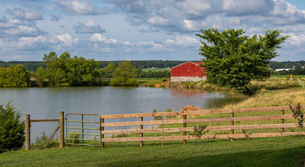 SUMMER IN THE COUNTRY by Jamie Federick