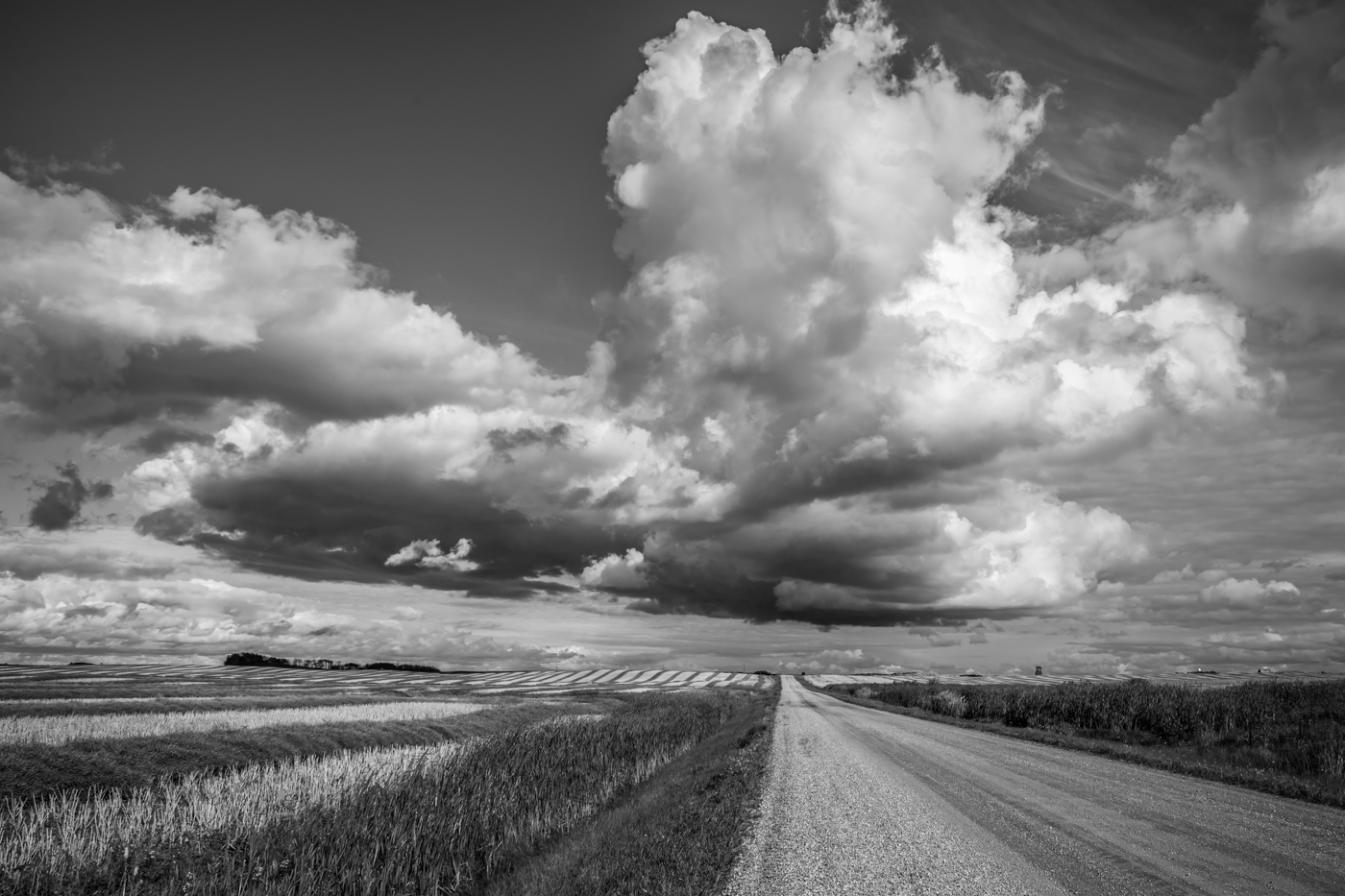 The Under-Appreciated Canadian Prairie by Lorna Zaback