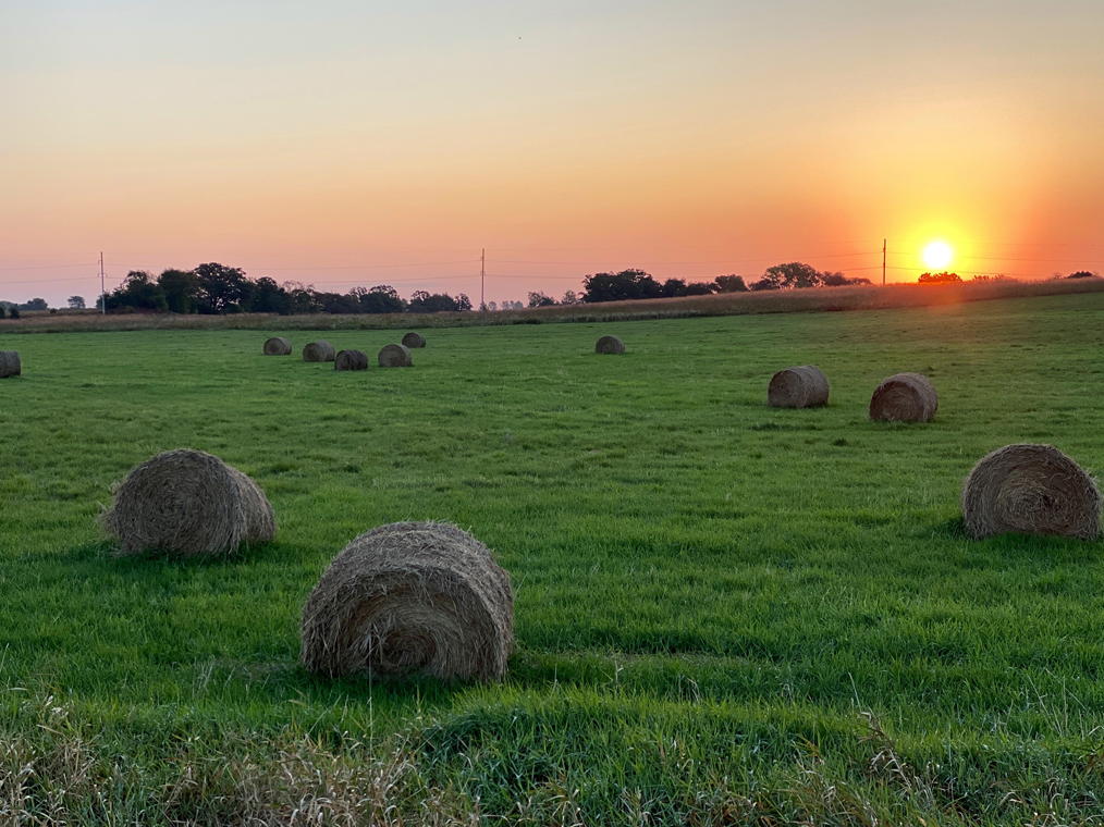 Hay Bales by Dave Edwards