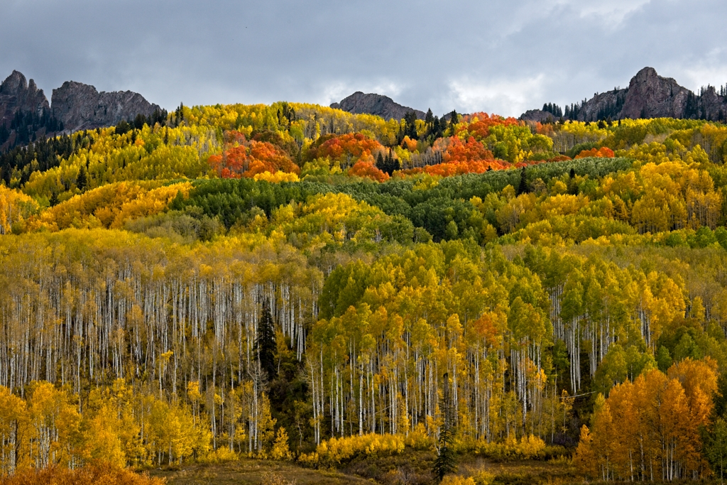 Colorado Fall by Pamela Hoaglund