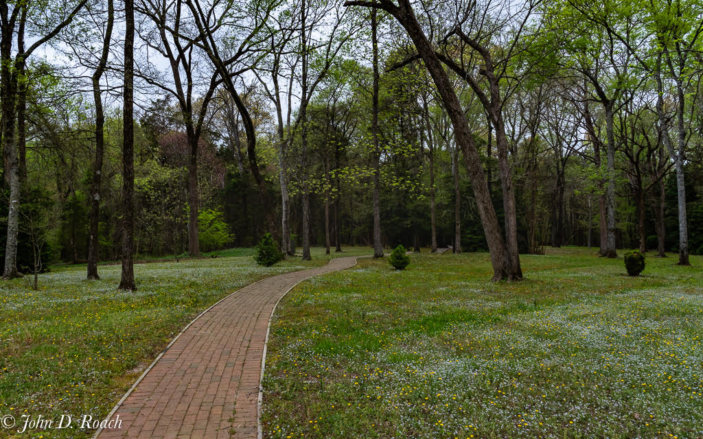  A Scene at Occoneechee State Park, North Carolina. by John Roach