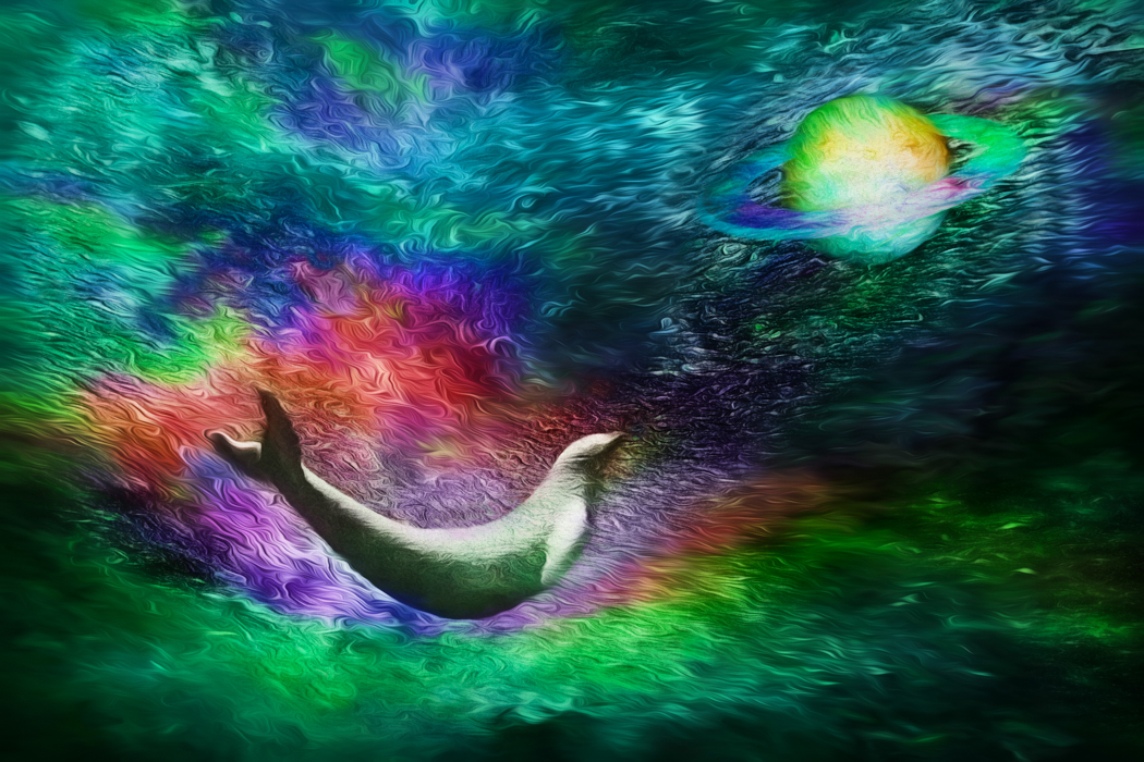 Comment Image