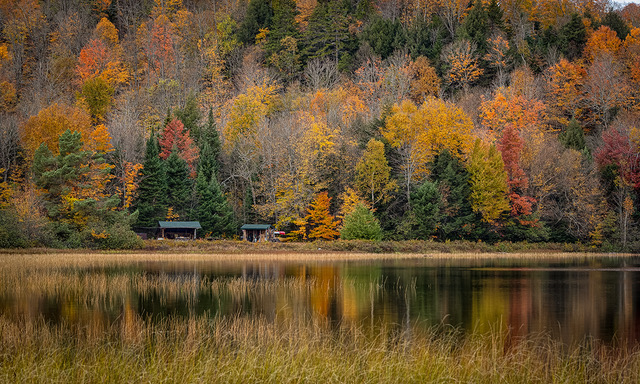 Fall Reflection by Dennis Zhang