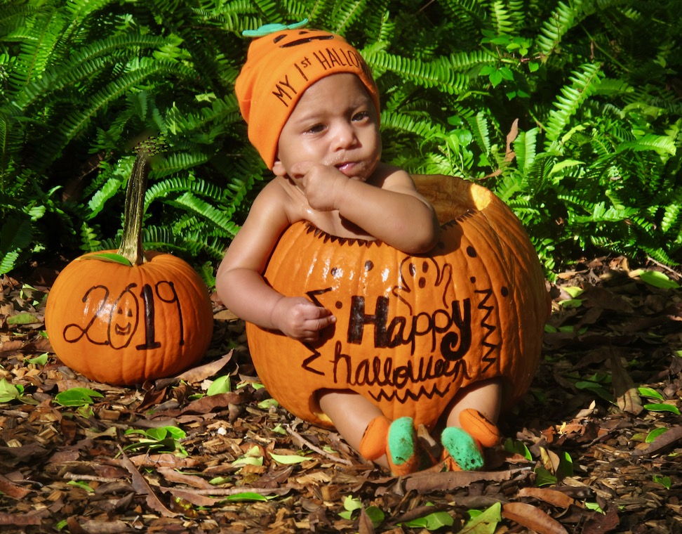 Baby Pumpkin by Marianne Shine
