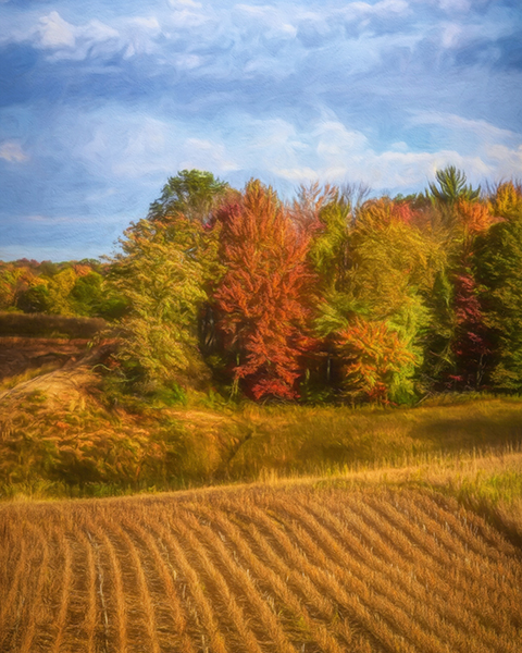 Fall Scape by Trey Foerster
