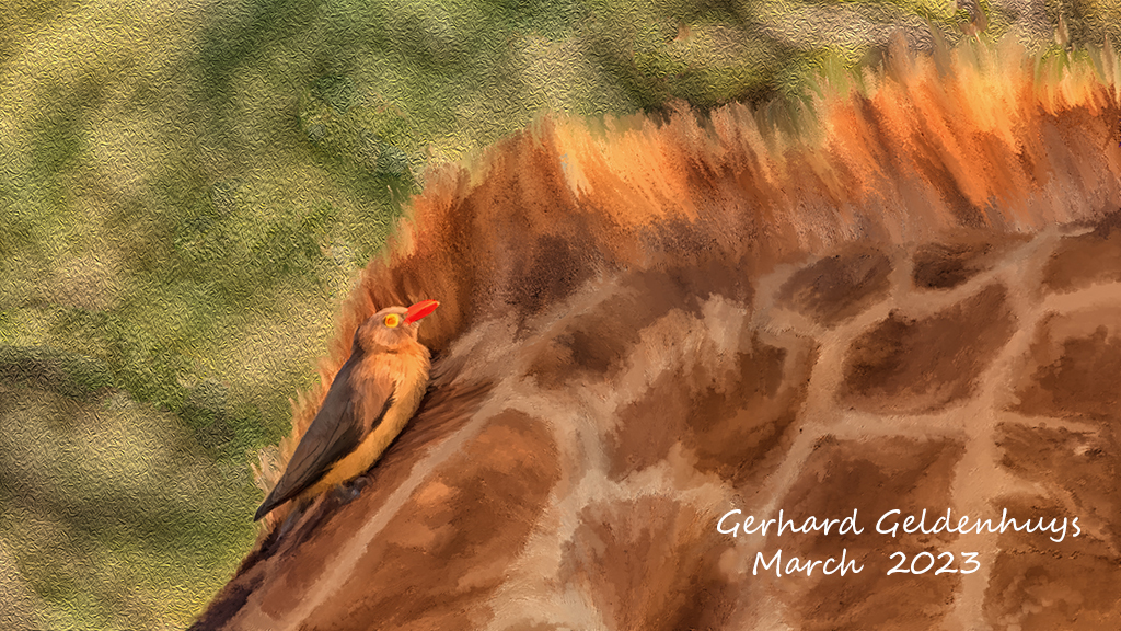  Search of the Next Tick by Gerhard Geldenhuys