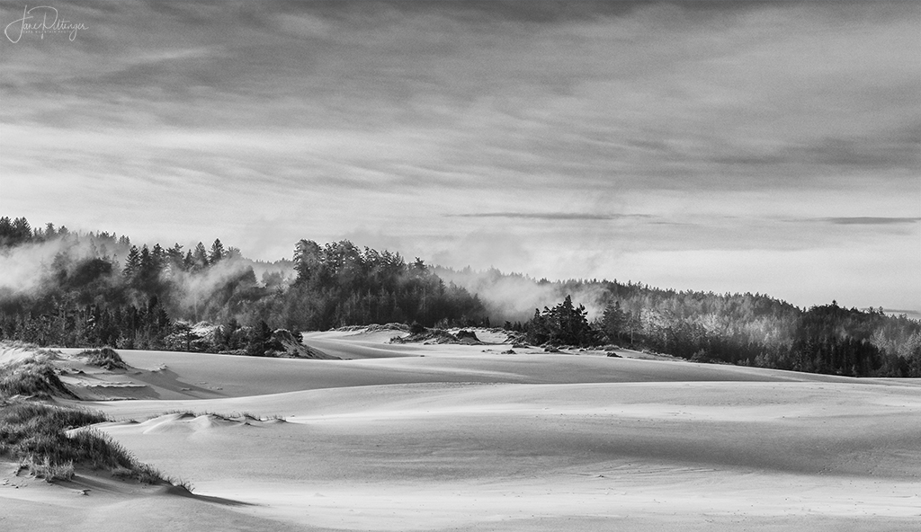 Fog Dissipating At Dellenbach Dunes by Jane Pittenger