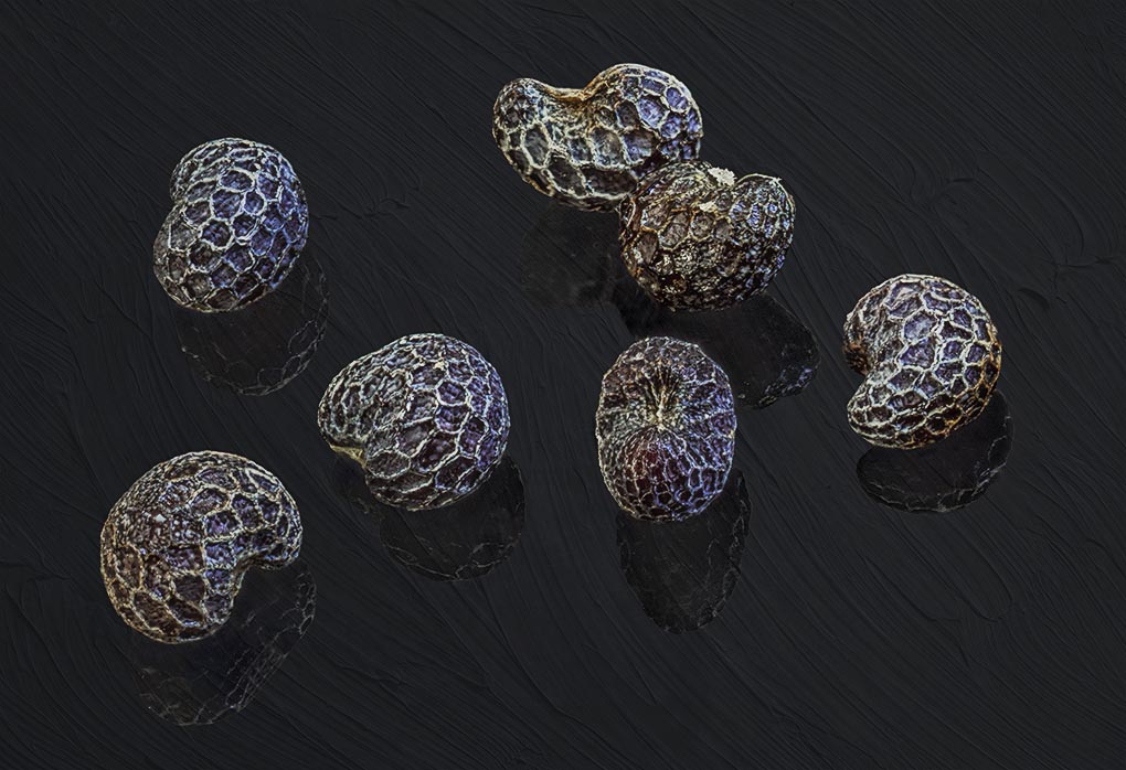 Poppy Seeds by Charles Ginsburgh