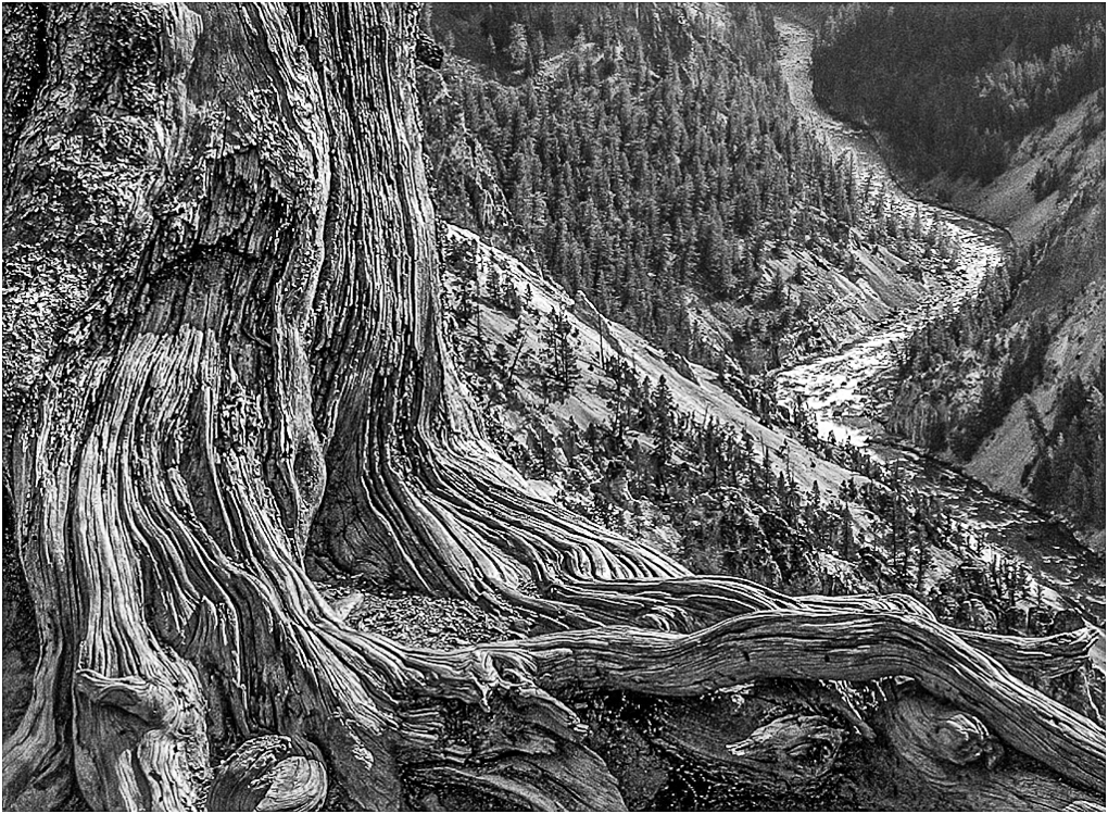 Grandeur Point Detail by Jerry Funk