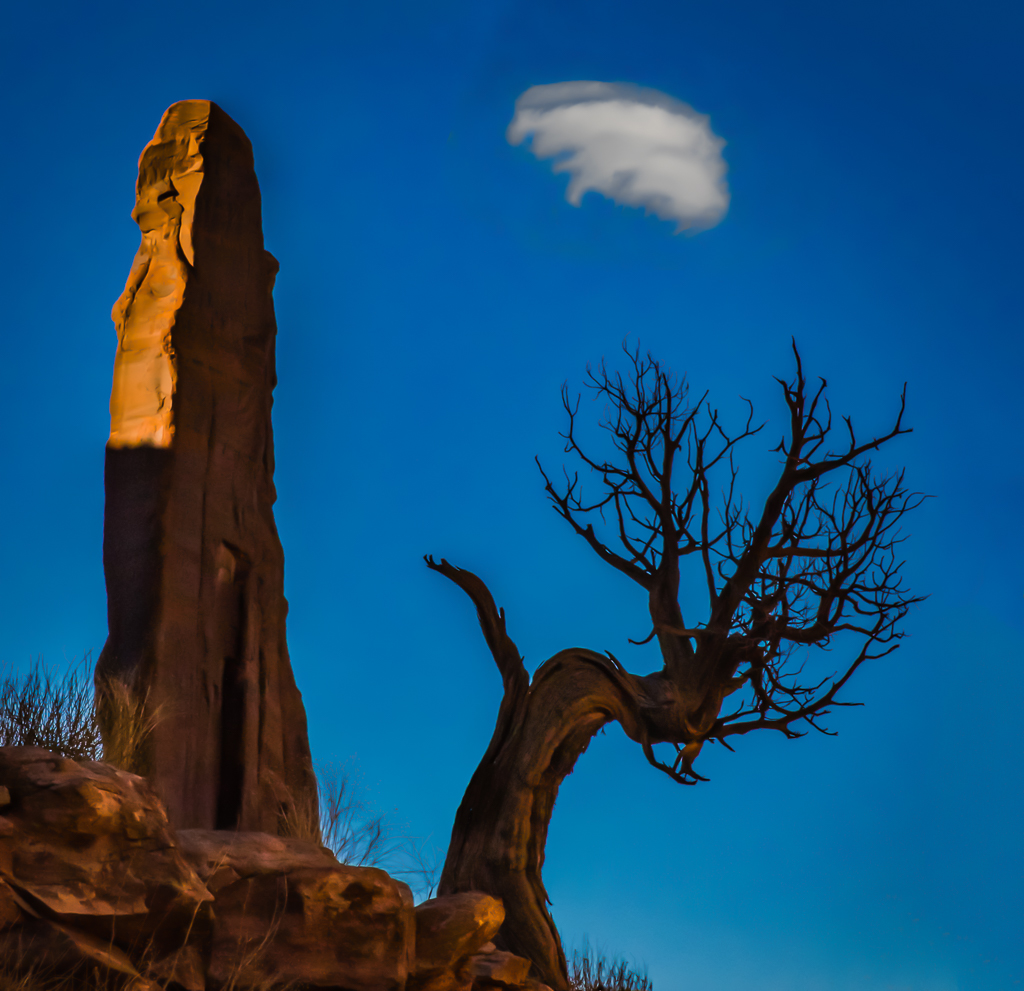 A Rock, a Tree, and a Cloud by David Kepley