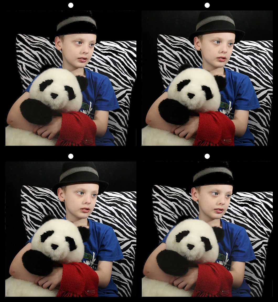 Luke and Panda by David Allen, EPSA