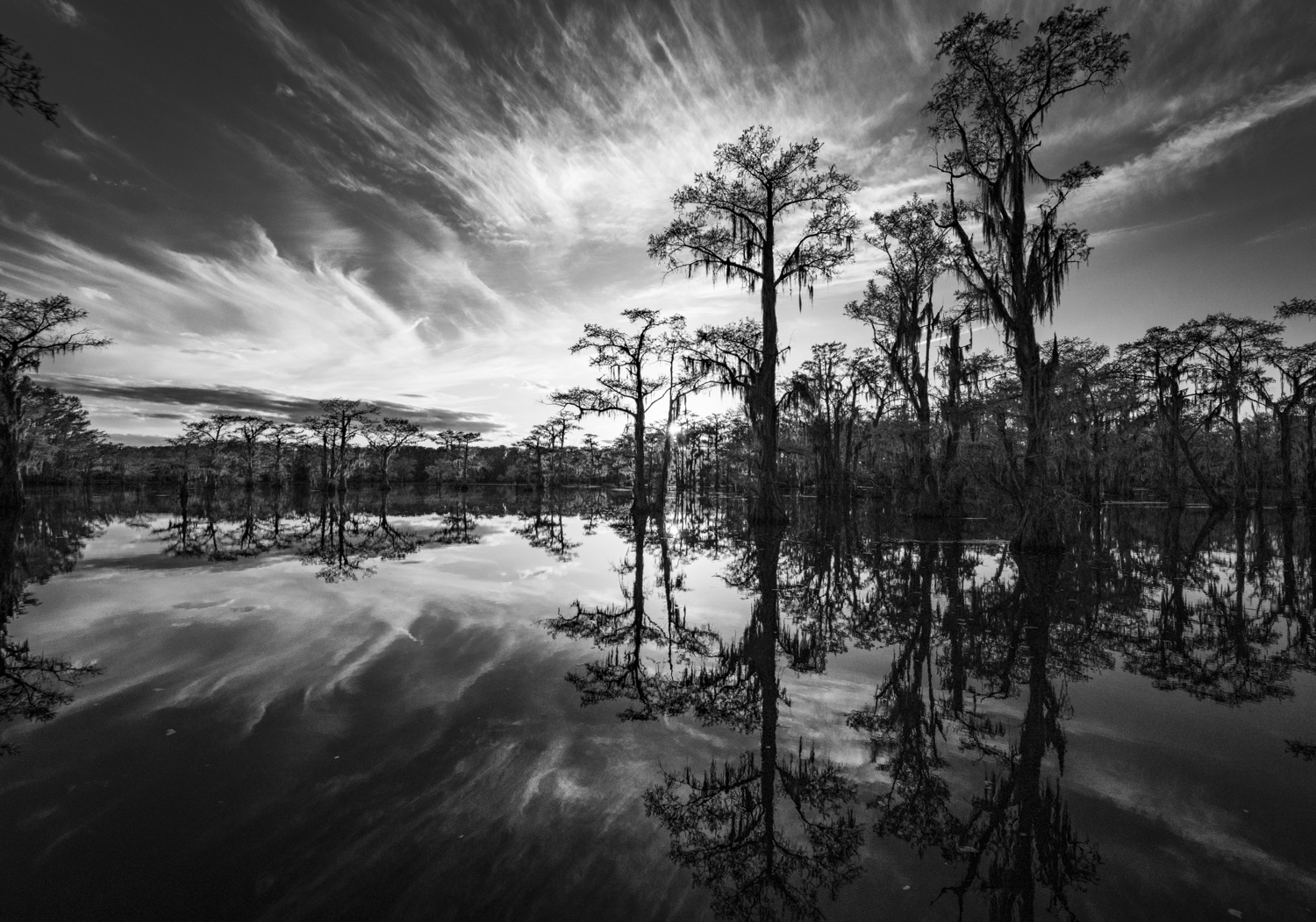 Caddo Lake by Dean Ginther
